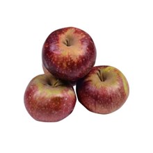 Elma Arapkızı (kg)